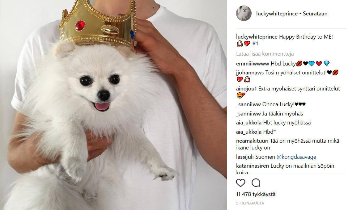 Luckywhiteprince