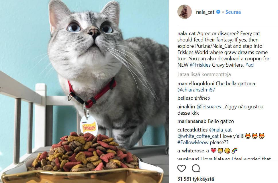 Nala_cat